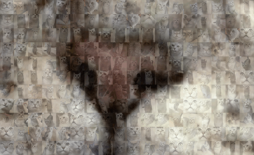 조율리_쿠키의 순간들_3